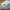 Adidas Late Raser Cln 2.0 Run Black White photo 4