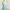 light blue sport tanktop bra active wear photo 3