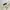 Blue Ice Women Corduoy Pants Baggy Fit Broken White photo 7