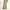 Asster Celana Chino Pants Khakis Cream Reguler Fit photo 4