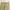 Asster Celana Chino Pants Khakis Cream Reguler Fit photo 6