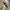[Termurah] Sneakers - New Balance 2002R Black