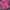 Yu ri lace collar with beads details pink top photo 4