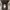 Jam Tangan  photo 1