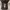 Jam Tangan photo 1