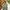 Chino Pants EDWIN Olive Green Size 38 photo 1