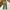 Chino Pants EDWIN Olive Green Size 38 photo 7
