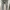Celana Hamil Mooimom Ripped Jeans Maternity photo 6