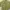 Crop top heidy green Baju korean look photo 1