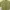 Crop Top Heidy Green Baju Korean Look