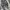 Y2K Gothic Punk Grunge Buckaroo Skull Visual Kei photo 3