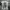 Y2K Gothic Punk Grunge Buckaroo Skull Visual Kei photo 1