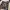 Y2K Gothic Punk Grunge In The Attic Long Slevee  photo 5