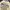 Y2K Gothic Punk Grunge In The Attic Long Slevee  photo 2