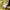 Y2K Gothic Punk Grunge In The Attic Long Slevee  photo 6