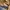 Fendi Vintage Y2K Tote bag Wanita navy gray photo 8