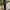 Zara Man Parachute Pants Straight Fit 