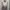 Y2k camisole photo 4