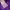 Gorpcore Casual Puffer jacket Wanita purple photo 8