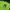 Kaos Jersey NY Broklyn Oversize Green Neon photo 2