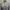 POLO RALPH LAUREN long sleeve photo 4
