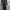 long dress photo 1