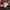 Rugby SPAO Graphic Tee x Harry Potter Gryffindor Sweatshirt photo 9
