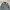 Carhartt J14 Moss Santafe sunfaded leather patch VTG jacket photo 4