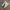 NIKE BLAZER MID SECOND 40  photo 1