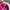 Vintage Hat Pria pink photo 3