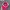 Vintage Hat Pria Pink