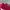 Vintage Hat Pria burgundy photo 3