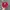 Vintage Hat Pria burgundy photo 1