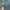 Vintage Hat Pria green blue photo 1