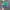 Vintage Hat Pria Green Blue