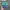 Vintage Hat Pria green blue photo 1