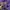 hodie have a good time warna lilac photo 4