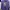 hodie have a good time warna lilac photo 1