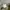 Neighborhood army camouflag photo 9