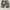 Neighborhood army camouflag photo 5