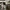 Neighborhood army camouflag photo 7