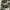 Neighborhood army camouflag photo 2