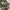 Neighborhood army camouflag photo 6