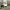 Neighborhood army camouflag photo 10