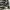 Neighborhood army camouflag photo 3