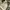 Neighborhood army camouflag photo 8