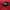 cassual belt photo 5