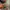 🏁 SANSAISHA | Carabiner Keychain Cars | Toy Story photo 1