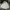 Adidas Th2000 tracktop jacoet photo 1