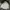 Adidas Th2000 tracktop jacoet photo 2
